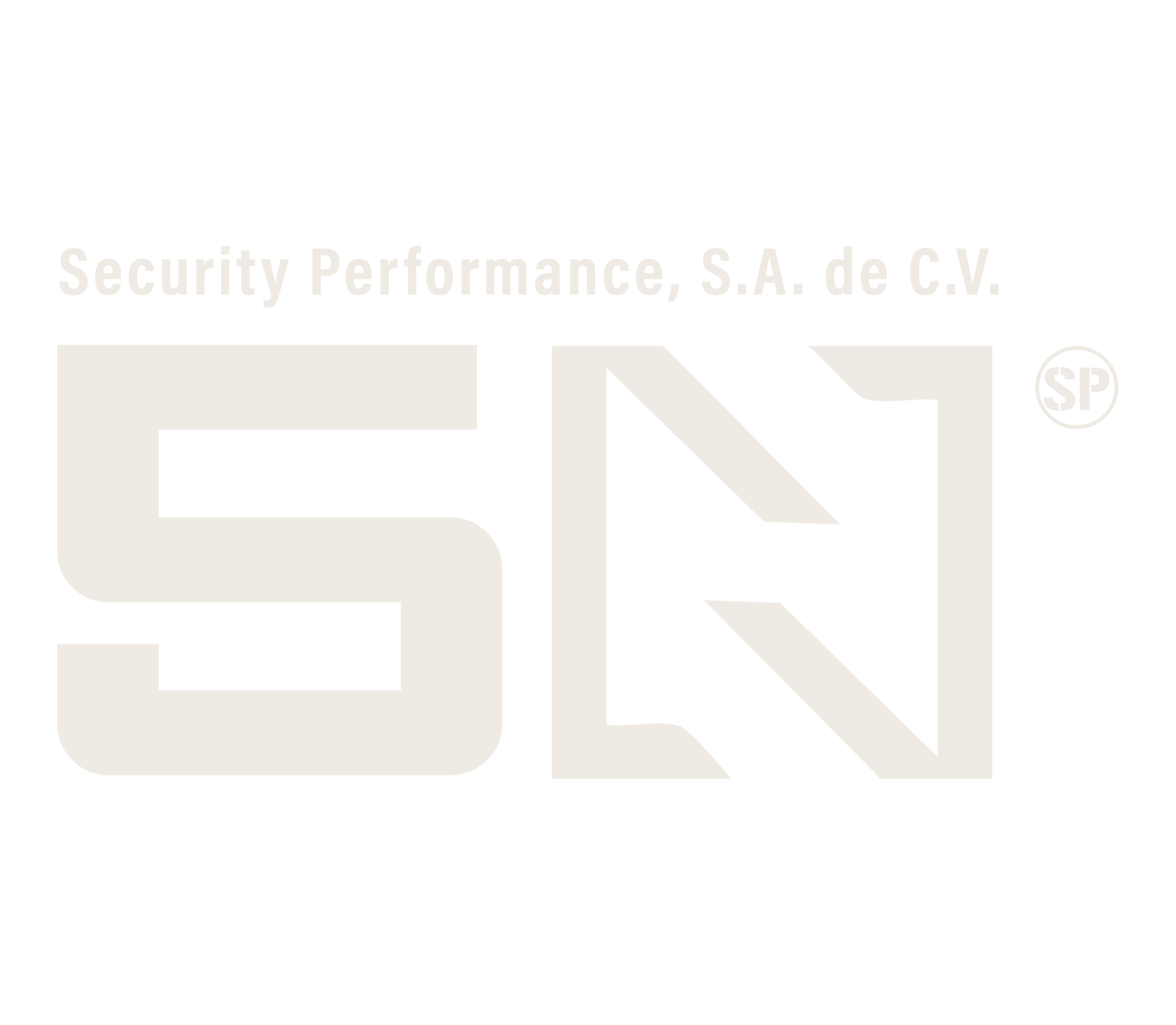 5N Seguridad Privada